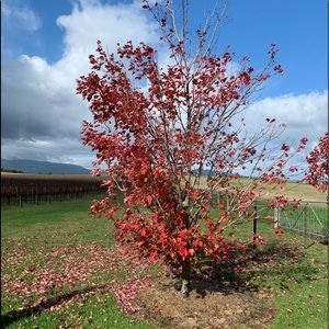 Meet your Posher, Sandy